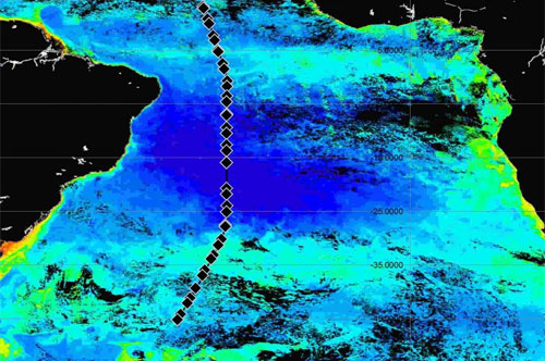 Chlorophyll map with ship's track overlaid