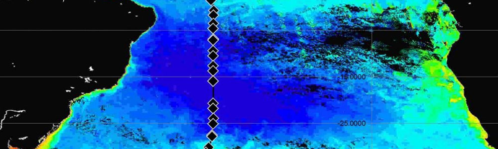 Chlorophyll map with ship's track overlaid