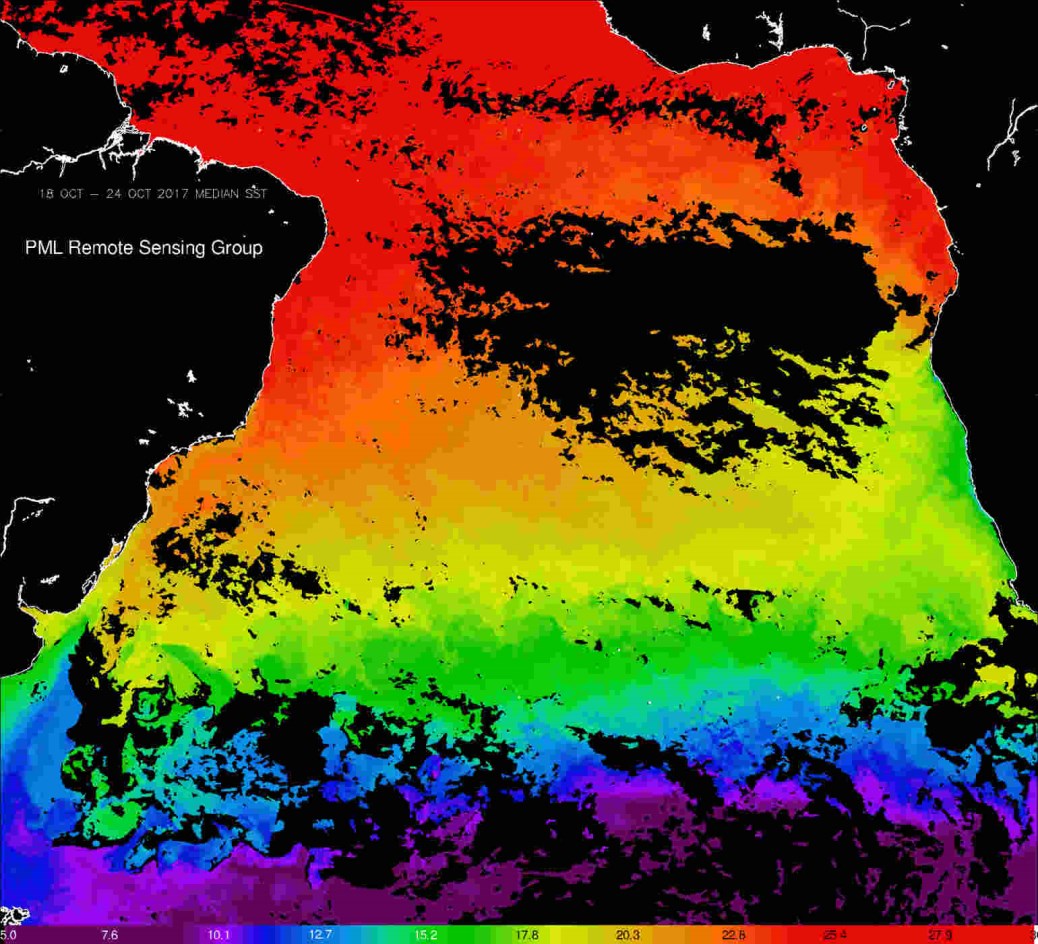 AVHRR Sea Surface Temperature median composite from 18 to 24 October 2017. The South Subtropical Convergence Zone is demarked from the Southern Gyre by the green band of 15C water (Satellite Imagery provided by Silvia Pardo from the National Earth Observation Data Archive and Analysis Service).